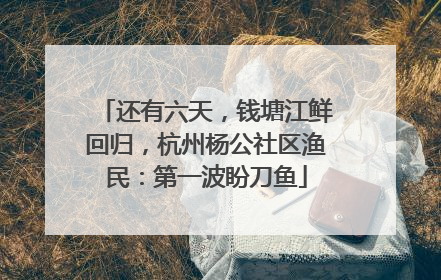 还有六天，钱塘江鲜回归，杭州杨公社区渔民：第一波盼刀鱼