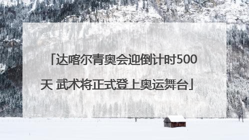 达喀尔青奥会迎倒计时500天 武术将正式登上奥运舞台