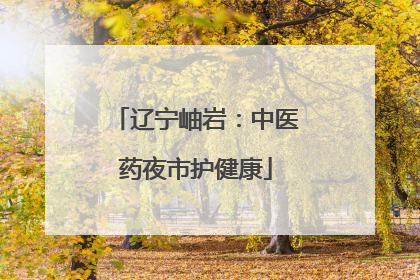 辽宁岫岩：中医药夜市护健康