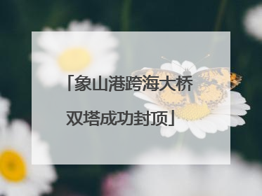 象山港跨海大桥双塔成功封顶