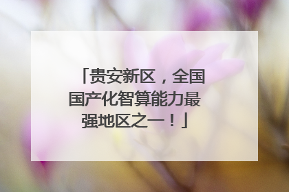 贵安新区，全国国产化智算能力最强地区之一！