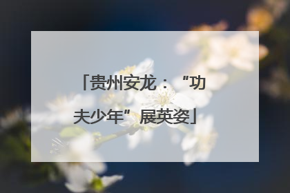 贵州安龙：“功夫少年”展英姿