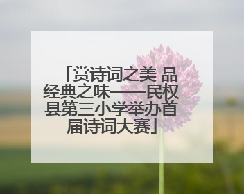 赏诗词之美 品经典之味——民权县第三小学举办首届诗词大赛