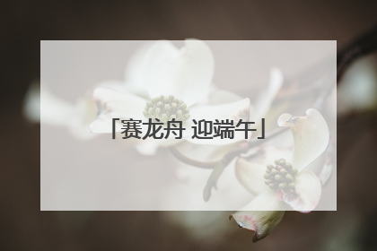 赛龙舟 迎端午