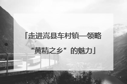 走进嵩县车村镇—领略“黄精之乡”的魅力