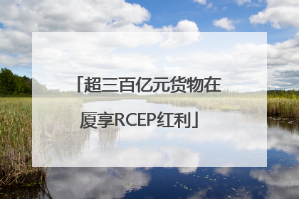 超三百亿元货物在厦享RCEP红利