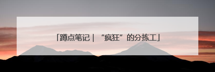 蹲点笔记｜“疯狂”的分拣工