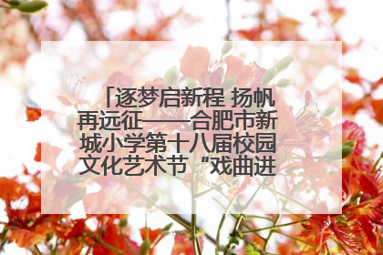 逐梦启新程 扬帆再远征——合肥市新城小学第十八届校园文化艺术节“戏曲进校园专场演出”
