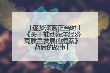 逐梦深蓝正当时！《关于推动海洋经济高质量发展的提案》背后的故事