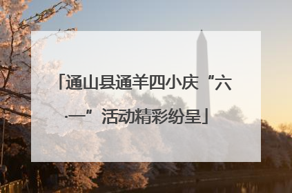 通山县通羊四小庆“六·一”活动精彩纷呈