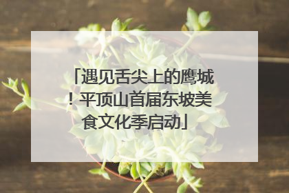 遇见舌尖上的鹰城！平顶山首届东坡美食文化季启动