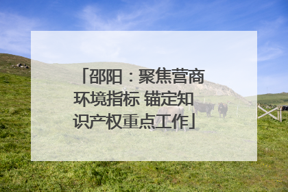 邵阳：聚焦营商环境指标 锚定知识产权重点工作