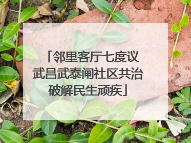 邻里客厅七度议 武昌武泰闸社区共治破解民生顽疾