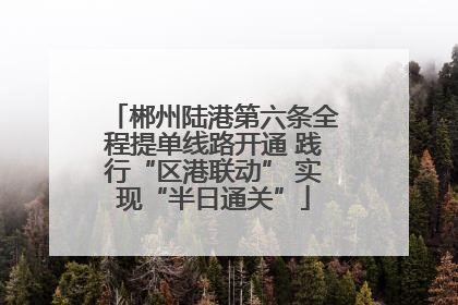 郴州陆港第六条全程提单线路开通 践行“区港联动” 实现“半日通关”