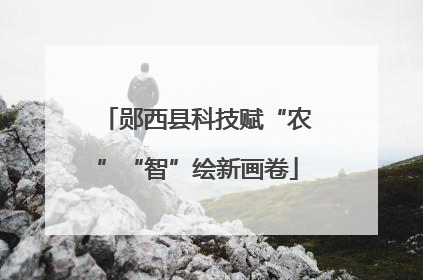 郧西县科技赋“农”“智”绘新画卷