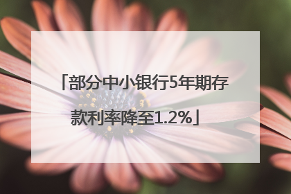 部分中小银行5年期存款利率降至1.2%