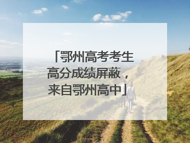 鄂州高考考生高分成绩屏蔽，来自鄂州高中
