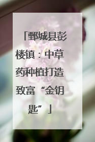 鄄城县彭楼镇：中草药种植打造致富“金钥匙”