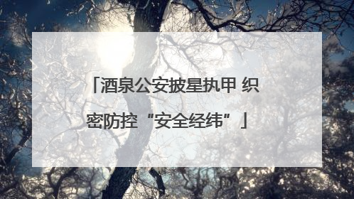 酒泉公安披星执甲 织密防控“安全经纬”