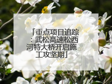 重点项目追踪：武松高速松西河特大桥开启施工攻坚期