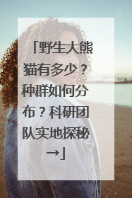野生大熊猫有多少？种群如何分布？科研团队实地探秘→