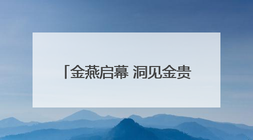 金燕启幕 洞见金贵｜SCOTCH燕窝中国新品发布会举行