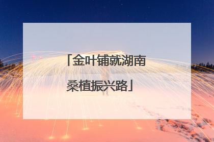 金叶铺就湖南桑植振兴路
