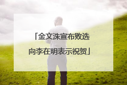 金文洙宣布败选 向李在明表示祝贺