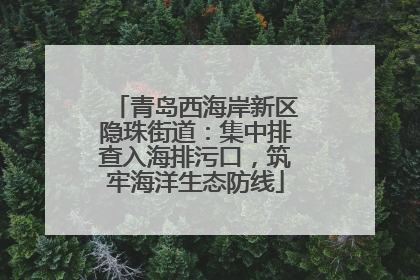 青岛西海岸新区隐珠街道：集中排查入海排污口，筑牢海洋生态防线