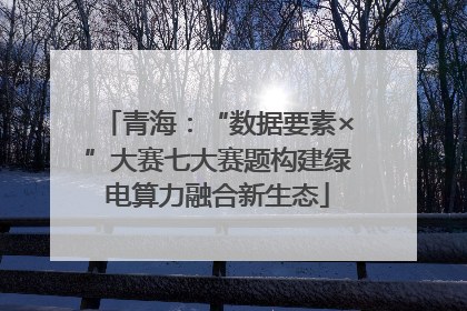 青海：“数据要素×”大赛七大赛题构建绿电算力融合新生态