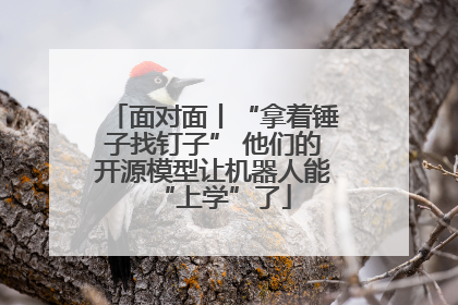 面对面丨“拿着锤子找钉子” 他们的开源模型让机器人能“上学”了