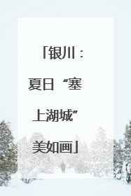 银川：夏日“塞上湖城”美如画