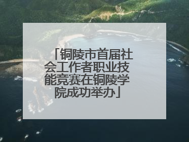 铜陵市首届社会工作者职业技能竞赛在铜陵学院成功举办