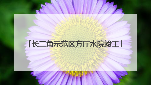 长三角示范区方厅水院竣工
