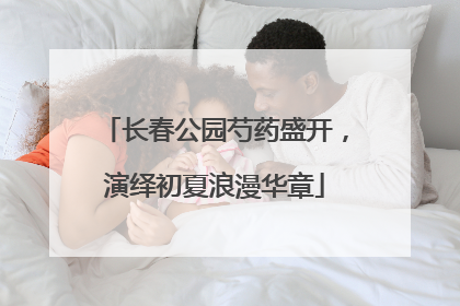 长春公园芍药盛开，演绎初夏浪漫华章