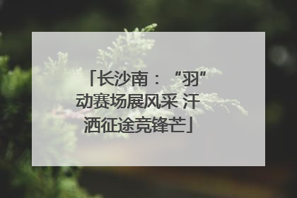长沙南：“羽”动赛场展风采 汗洒征途竞锋芒