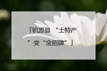 镇原县 “土特产”变“金招牌”