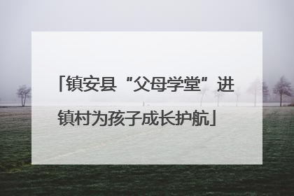 镇安县“父母学堂”进镇村为孩子成长护航