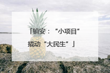镇安：“小项目”撬动“大民生”