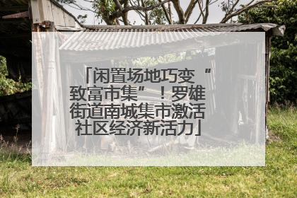 闲置场地巧变“致富市集”！罗雄街道南城集市激活社区经济新活力