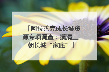 阿拉善完成长城资源专项调查：摸清三朝长城“家底”