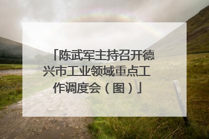 陈武军主持召开德兴市工业领域重点工作调度会（图）