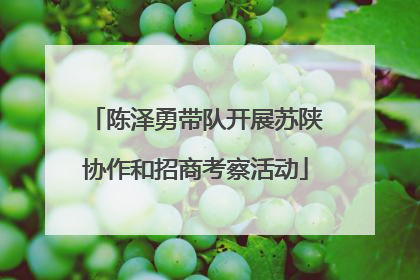 陈泽勇带队开展苏陕协作和招商考察活动
