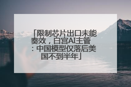 限制芯片出口未能奏效，白宫AI主管：中国模型仅落后美国不到半年