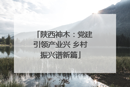 陕西神木：党建引领产业兴 乡村振兴谱新篇