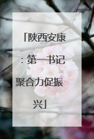 陕西安康：第一书记聚合力促振兴
