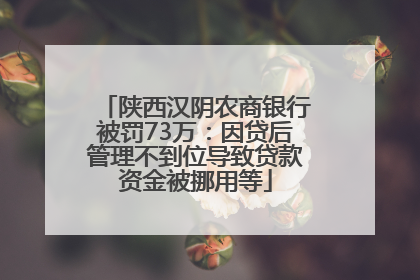 陕西汉阴农商银行被罚73万：因贷后管理不到位导致贷款资金被挪用等