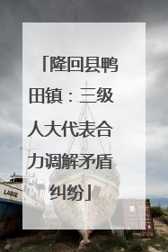 隆回县鸭田镇：三级人大代表合力调解矛盾纠纷