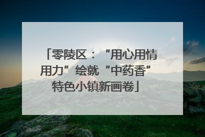 零陵区：“用心用情用力”绘就“中药香”特色小镇新画卷