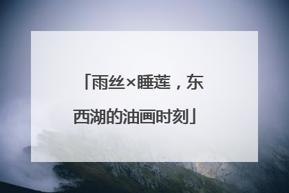 雨丝×睡莲，东西湖的油画时刻